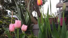 水仙花爆料视频大全最新,揭秘娱乐圈幕后真相 第3张 水仙花爆料视频大全最新,揭秘娱乐圈幕后真相 第3张